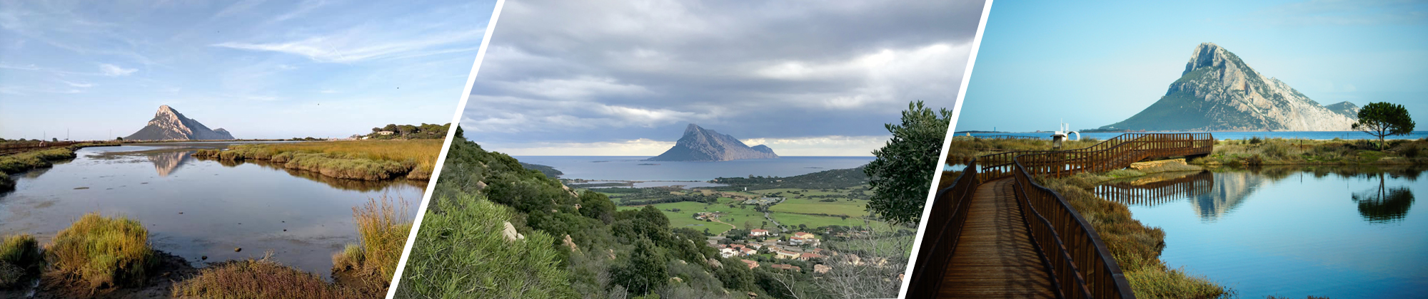 3 immagini collina verde